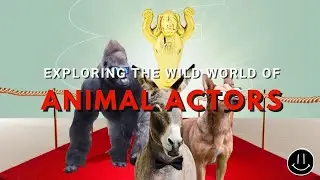 Exploring the Wild World of Animal Actors