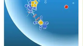 Bubble Tanks 1 a new bubbly journey !