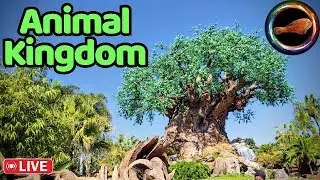 🔴Disney's Animal Kingdom (1/3/26).