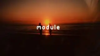 Max Flynn - Shuffle