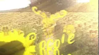 Cocoie AJ&rsquo;s intro commission (Put in 1080p+!)