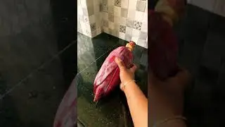 Banana Flower Stirfry | Vazhakoombu Thoran | Kerala Recipe #shorts #youtubeshorts #thoran #recipe