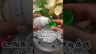 Give this to your houseplants / #gardening #shortsfeed #shorts #fertilizer #plants
