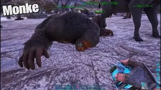 Max Level Bigfoot- Ark Survival Evolved