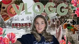 Shoppar julpynt, adventsmys och jul i vårat airbnb! 🎄