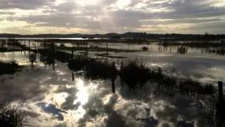 Derravaragh in flood