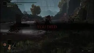 Matty plays elden ring
