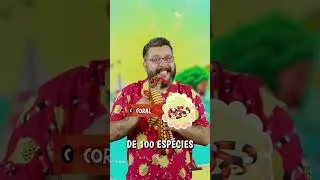 Quiz que salva vidas: qual &eacute; a menor cobra venenosa? #PraiaBingo #Quiz