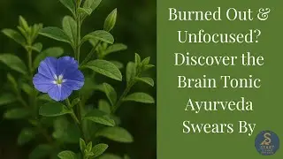 Burned Out & Unfocused? Discover the Brain Tonic Ayurveda Swears By