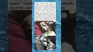 Mu&ntilde;eca: 18 A&ntilde;os y Abandonada, Pero Nunca Sin Amor 🐾💔