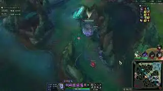 malz mid 3