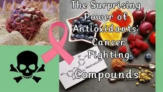 The Hidden Power of Phytochemicals: Superfoods That Slash Cancer Risk!