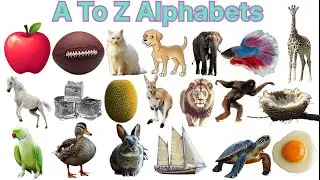 A To Z Alphabets | Alphabets learning | Nursery class