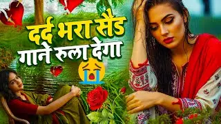 सबसे दर्द भरी बेवफाई गाना | #JUKEBOX | New Sad Song 2026 | Latest Viral sad Song | Bewafai Gana