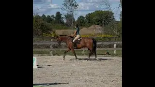 Cloverleaf Scholarship Application 2025 Isabella Gravina-Budis Riding Portion