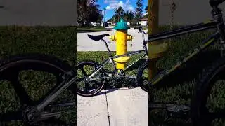 My 1982 mint Schwinn Predator competition series mostly original Restored