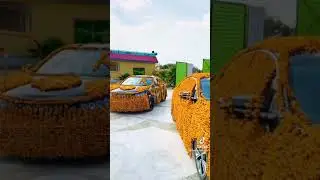 Tik Tok Video Marriage I R Love