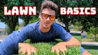 Lawn Care for Beginners