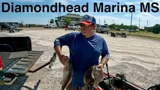 First Time Fishing Out Of Diamondhead Marina Diamondhead, MS