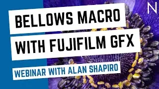 Dive on in, the macro&rsquo;s fine: Bellows Macro with the Fujifilm GFX with Alan Shapiro