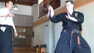 Goshuku-2009 Likhobabin Peter (Лихобабин П.Е.) seminar KOBU-JUTSU. ( 1 )