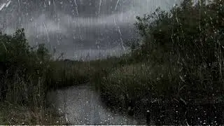 Windy Heavy Rain & Thunder Sounds &ndash; Storm Rain with Wind | 2 Hour Rain Sounds for Sleep & Relaxation