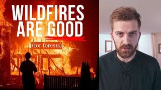 Why Forests Burn