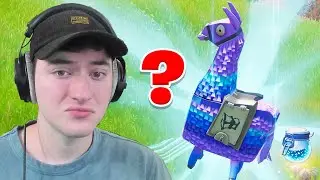 Fortnite llamas make no sense... #Shorts
