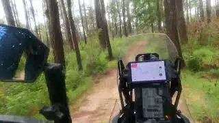 Tenere 700 offroad in forest service roads and wooded trails