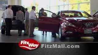 Fitz Video Nov 2012