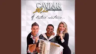 Pode Botar