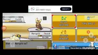 Pokemon HeartGold generations 2.0: gym leader Falkner 