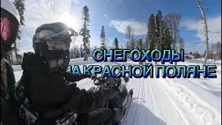 SNOWMOBILE RIDING IN THE KRASNAYA POLYANA MOUNTAINS
