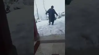 Haywan  buf mai
