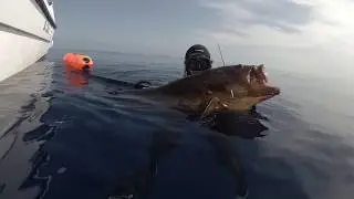 Pesca selectiva Vs Pesca contaminante