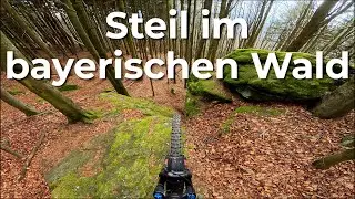 Bayerischer Wald 2025 - ◆◆ DH ◆◆