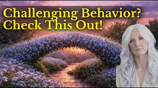 Challenging Behavior: Validation Tips