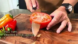 Satake Houcho Chef & Santoku: Sharp Tradition Meets dad-level Legacy