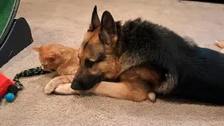 Love the one you're with