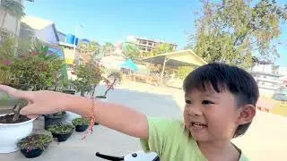 វត្តអារាម សំរាប់មនុស្សចាស់ ក្មេង ទូទៅ#fypシ #sbubscribe #views #forestsounds 