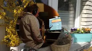 Slow Jam - Jan Siwy - (Euge Groove Cover)