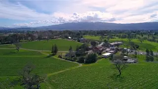 Beckmen Vineyards 2017 Winter Update