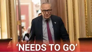 'The View' co-host turns on Chuck Schumer over caving on government shutdown