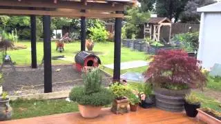 Tranquil backyard