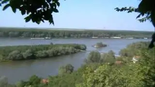 Neštin