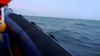 Returning from the Shiants
