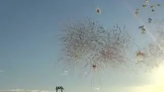 NOVOLI (Le) Sant' antonio abate 2026 - PIROTECNICA PEPE LUCA