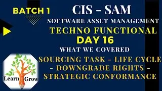 SAM - Day 16 - Sourcing Task - Life Cycle - Downgrade Rights - Strategic Conformance