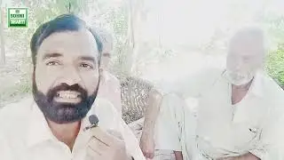 False ka bagh kaise lagaen |falsa k faide |Vlog |@Sohni Dharti 7043