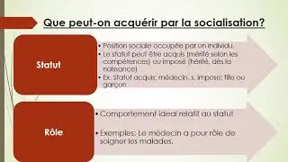 la socialisation